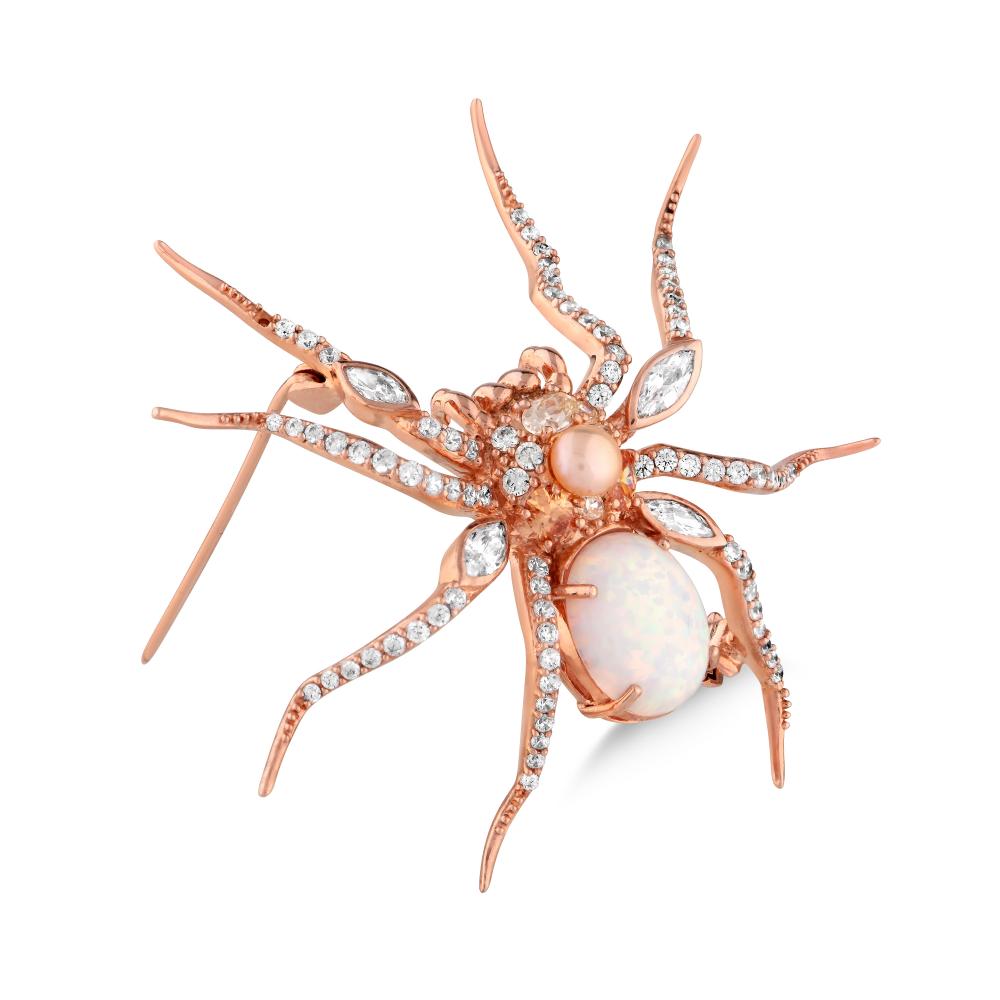 Spider